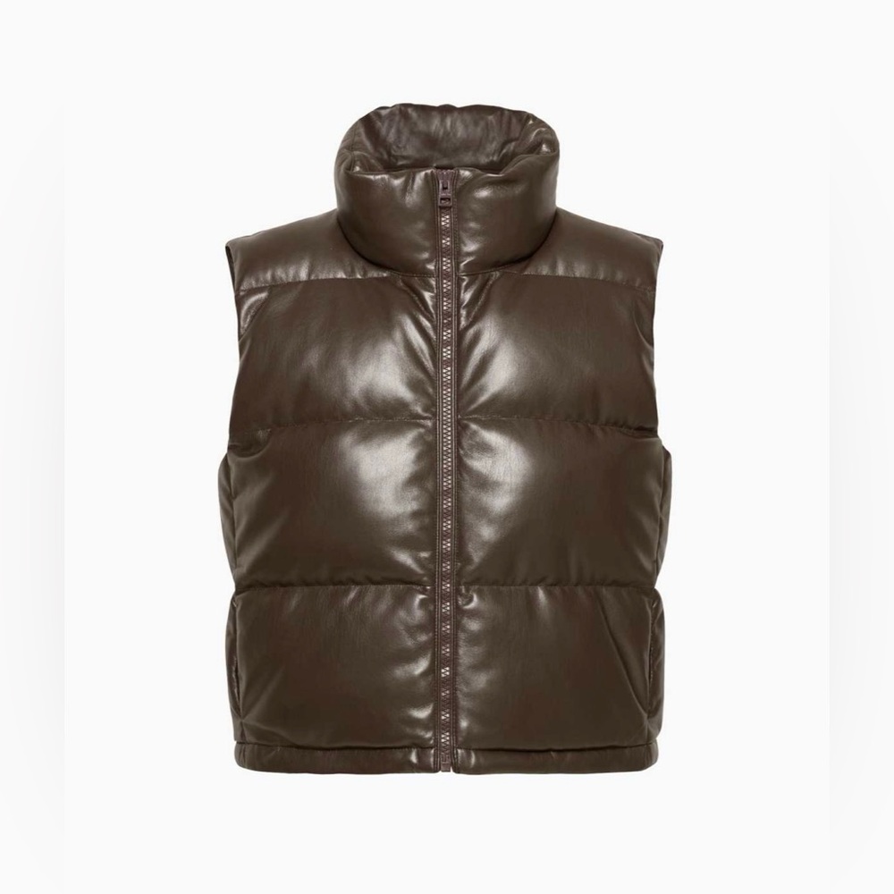 Aritzia Wilfred Free Vista Puffer Vest